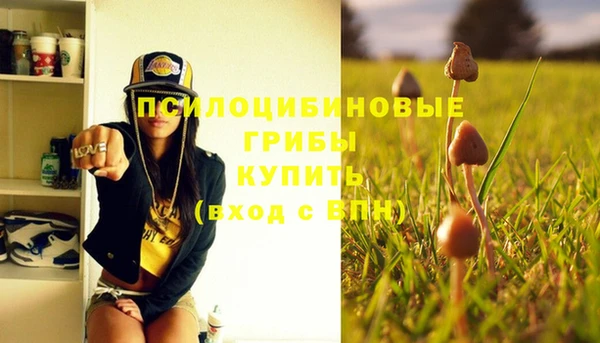 молекула духа Алексин