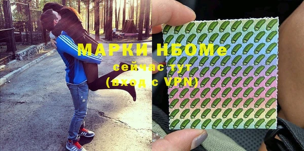 молекула духа Алексин