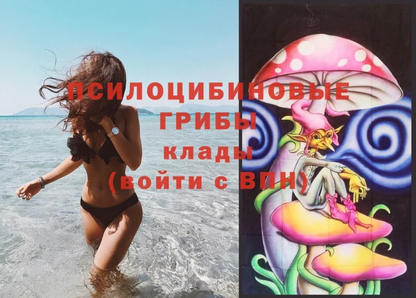 эйфоретик Алексеевка