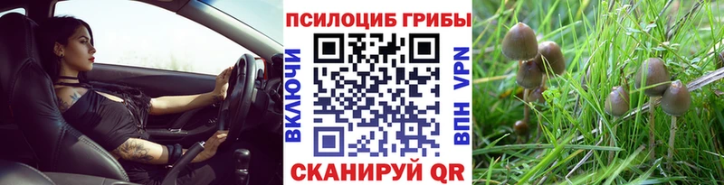 Галлюциногенные грибы мицелий  МЕГА маркетплейс  Ветлуга  это телеграм  наркота 