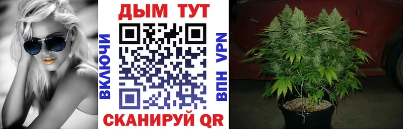 хочу наркоту  Ветлуга  darknet официальный сайт  Канабис ГИДРОПОН 